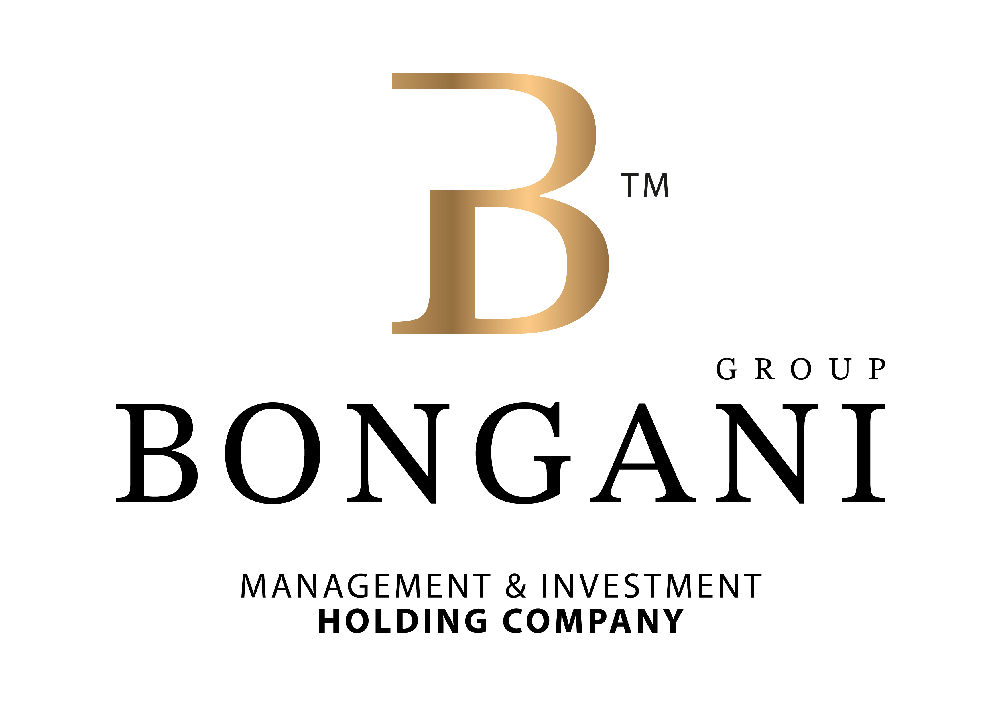 Bongani Group